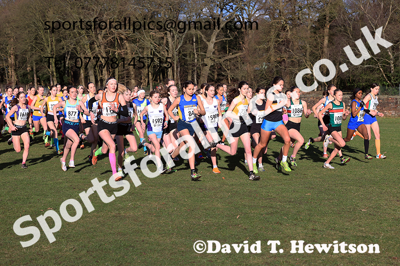 Girls under-15s 2025 Northern Cross Country Champs, Tatton Park, Knutsford, Cheshire. Photo: David T. Hewitson/Sports for All Pics